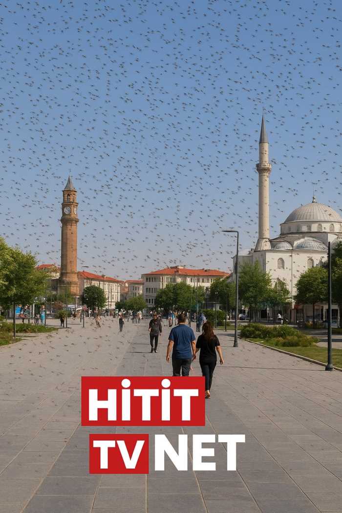 Çorum'u Yaprak Bitti Bastı!