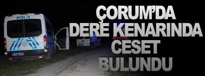 Dere kenarında bir erkek cesedi bulundu