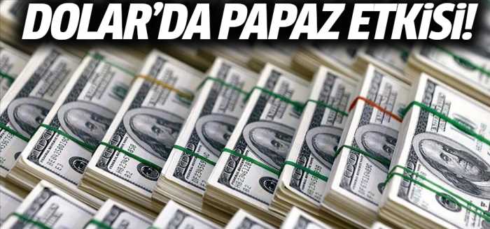 Dolar düşüşte rekor kırdı! 