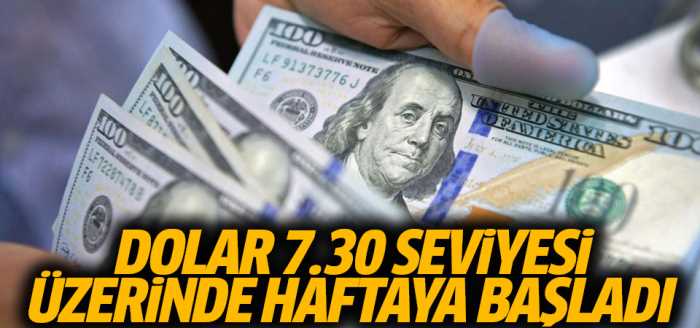 Dolar haftaya 7.30 seviyesinde başladı