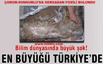 Dünyanın En büyük fosili Çorum'da  çıktı