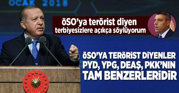 Erdoğan'dan CHP'li vekile sert Tepki