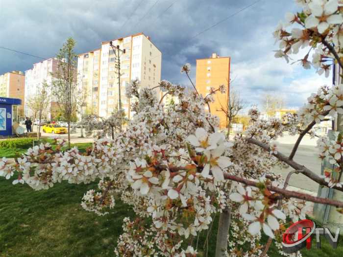 HER DAİRENİN 1 OTOPARKI OLACAK