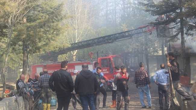 İskilip'te Orman yangını söndürüldü