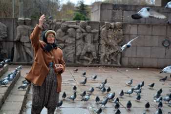 Kuş yemi satan Alaca'lı  Nine'yi parktan attılar