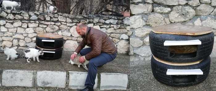 Lastikten Kedi Evi Yaptı