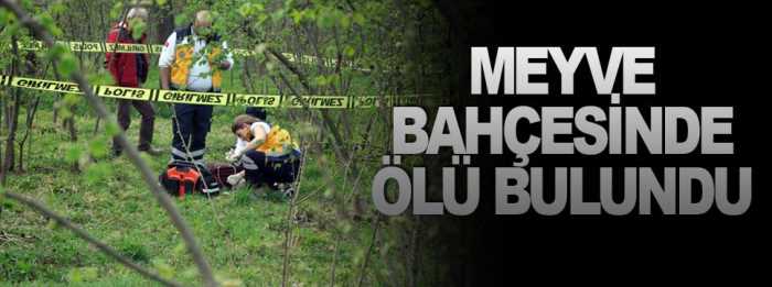  Meyve bahçesinde ölü bulundu