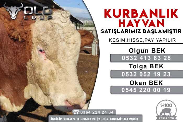 Olgun Et Kombine entegre Tesisi