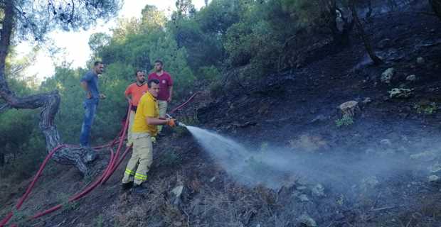 Orman Yangınında 2 hektar ormanlık alan kül oldu