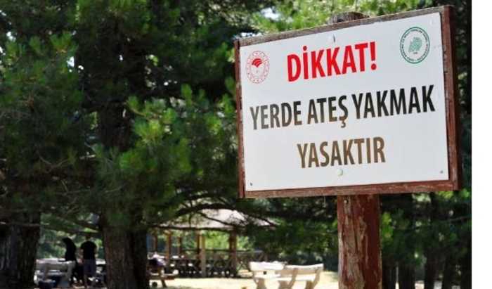 Ormanın Hangi Alanında Piknik Yapılacak Yapılmayacak? 