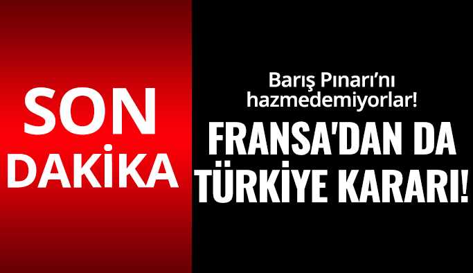 S.Arabistan,Mısır,Almanya'dan sonra Fransa'dan da Türkiye kararı!
