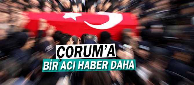 ŞEHİT HABERİ ÇORUM’DAKİ AİLESİNE ULAŞTI