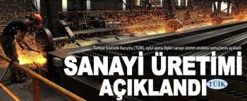 Türkiye İstatistik Kurumu Sanayi Üretimini açıkladı